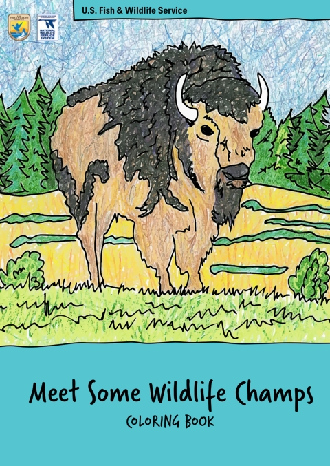 Cover of the Meet Some Wildlife Champs coloring book.