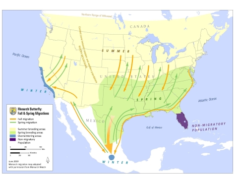 A monarch butterfly migration map shows the migration routes and an area in Florida where monarchs don't migrate.