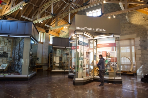 Visiting the Museum at the National Conservation Training Center