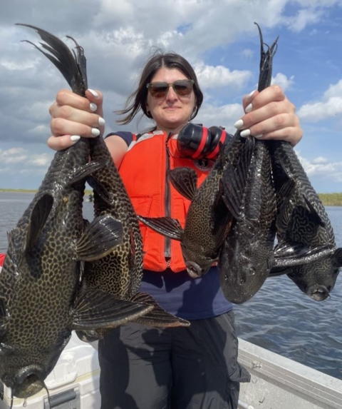 Intern Nicole Prieto showing non-native sailfin catfish collected during electrofishing surveys 