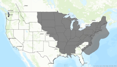 Map of the range of the northern long-eared bat or NLEB that is assumed for wind projects. This includes 37 states including offshore areas for states that are along the coast.