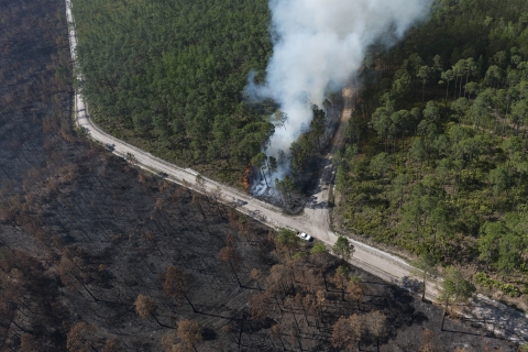 Gravel road extending across photo from left to right, burned trees below and unburned trees with a smoke column above