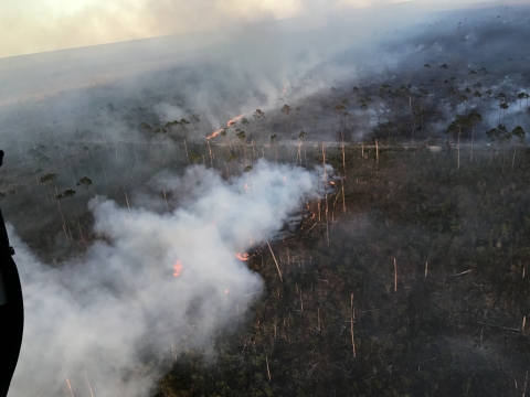 aerial view of smoke rising from trees burning with large flames beneath smoke