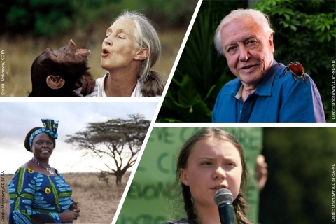 An image of 4 people. Top left: a chimpanzee and a woman (Jane Goodall) vocalizing. Top right: a man (Sir David Attenbouroug) with a large insect on his shoulder. Bottom left: a woman (Wangari Maathai) standing in front of a tree in a grassland. Bottom right: a young woman (Greta Thunberg) speaking into a microphone.