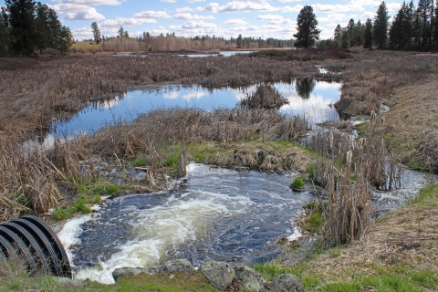 The outflow of a water control structure drains into a wetland
