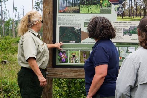 Kisatchie National Forest Supervisor talks with U.S. Fish and Willdlife Service employees about a flatwoods project site in the forest May 7, 2024. 