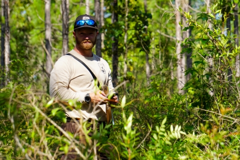 Scientist Explores Mississippi Forest for Gopher Tortoise Habitats