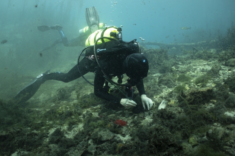 Divers in San Marcos river