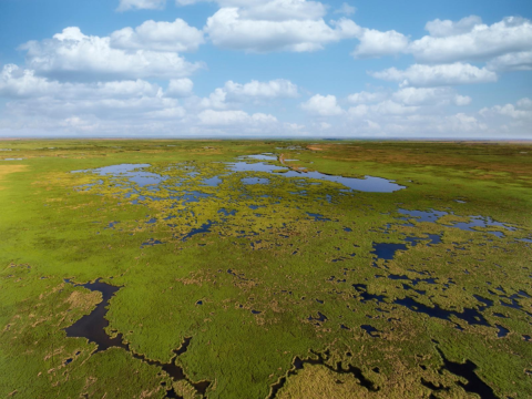 Aerial photo of coastal marsh in the Gulf Coast Region.