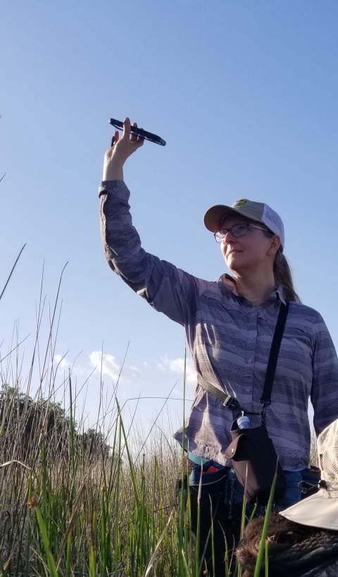 Biologist Christy Hand raises her arm and holds up a phone using playback audio while searching for Eastern black rail birds in South Carolina. 