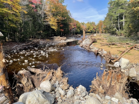 Restored section of Narraguagus river in Maine with newly constructed engineered log jams, narrowed channel, and floodplain