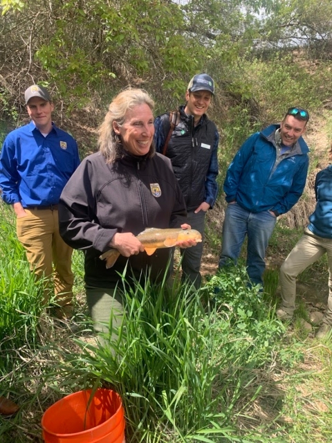Director Martha Williams (foreground) holds a Flannelmouth Sucker alongside the Cherry Creek Culvert in La Plata County. Behind her Nathan Clifton (USFWS) (left) , Mickey O’Hara (The Nature Conservancy) (middle) and Cory Chick (Colorado Parks and Wildlife) look along.
