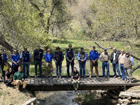 A group of Wildlife Professionals standing on a bridge over the Cherry Creek Fish Passage Site