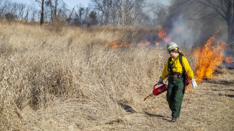 Wildland firefighters