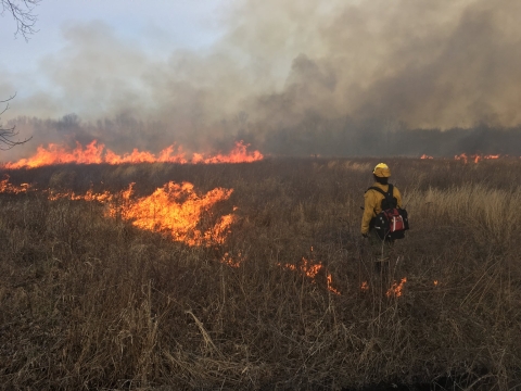 firefighter managing a prescribed burn