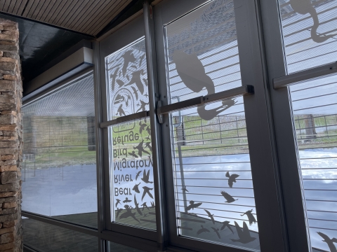 windows and doors with lines and designs on the outside of the glass, with mountains in the distance