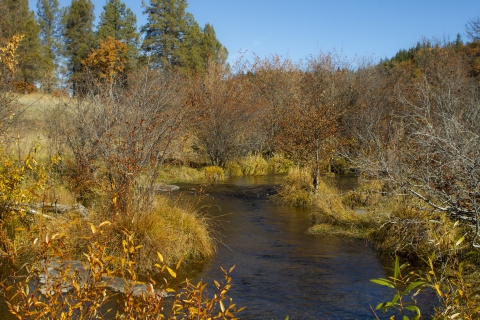 river in fall colors