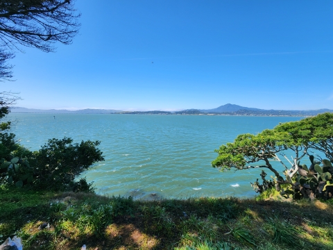 Open waters with grass and trees in the foreground and a mountain in the distance.