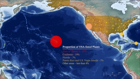 A map showing states and territories of the United States. Dots are shown across the map with each dot size and color representing the proportion of listed endangered species. The largest dot that is red looms over the Hawaiian Islands showcasing Hawaiʻi as the endangered species epicenter. 