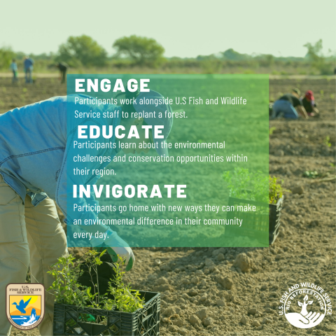 This is a poster that depicts how participants will Engage, Educate, & Invigorate after attending the Rio Reforestation Event.
