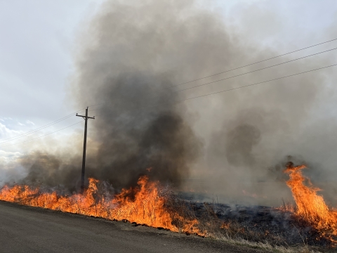 A line of prescribed fire