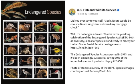 A graphic shows 20 postage stamps featuring a variety of different endangered species. Text below right