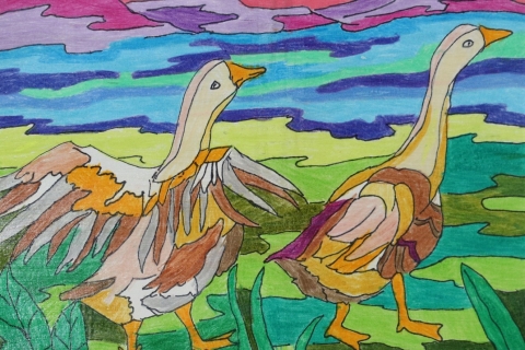 A pair of snow geese standing in a grassy wetland with a sunset behind them, done in colored pencil and a stylistic way