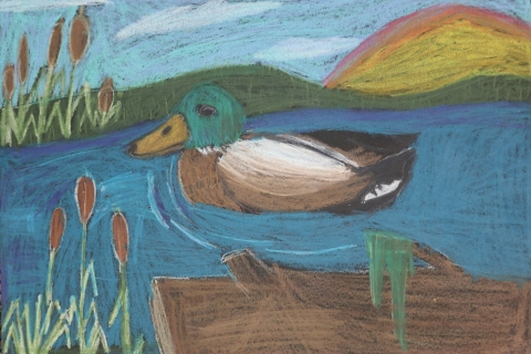 A pastel drawing of a male mallard duck sitting on the water with cattails and a rainbow in the background.