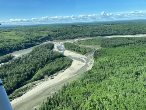aerial view of rivers and forest