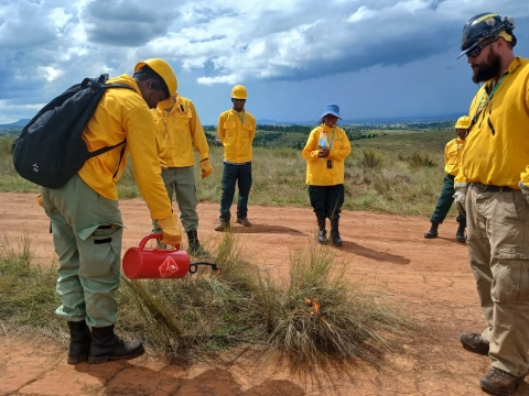 A group of firefighters watch another firefighter light a patch of vegetation on fire using a drip torch.