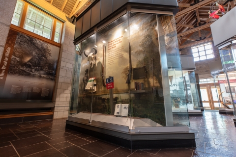 Exhibit of North American Model of Wildlife