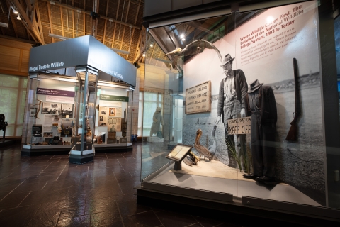 Exhibit of first refuge, Pelican Island