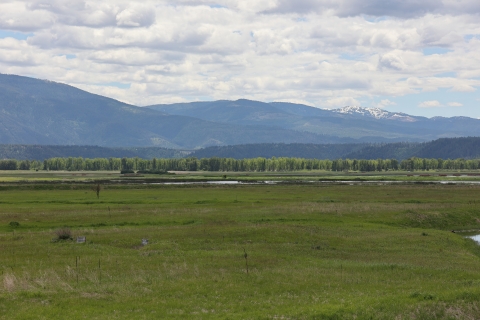 A landscape of a river floodplain with mountains in the distance