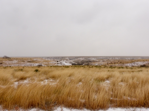 Buffalo Lake in winter