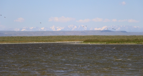 A lake is shown in the foreground with mountains in the background of this photo as ducks fly in the distance.
