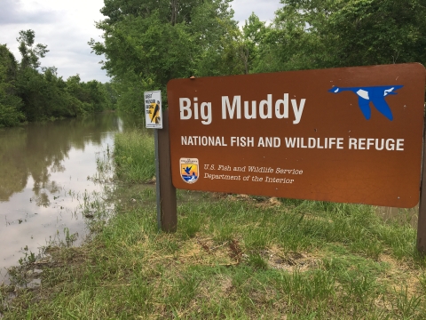 Big Muddy NFWR surrounded by floodwaters