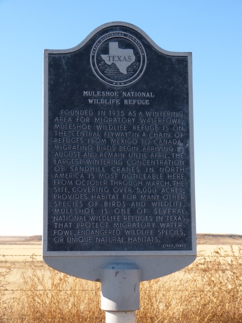 Muleshoe historical marker