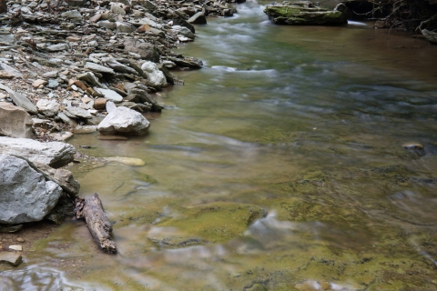 Stream near entrance of Laurel Cave at Carter's Cave State Park, KY.