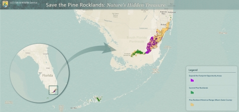 This map of the pine rocklands show the historical and current range and restoration opportunities