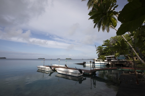 Boats next to a dock on clear blue water. Palm trees are seen on the shoreline.