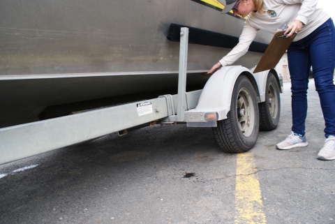 Watercraft inspector feels underside of trailer for aquatic invasive species while holding a clipboard.