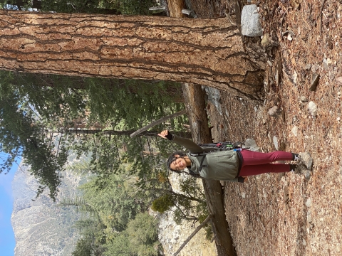 A woman giving the camera a thumbs up while standing next to a tall tree