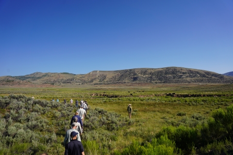 A group of conservation partners enter a sagebrush restoration project site on private lands in Emma Park, UT on a sunny, cloudless day.