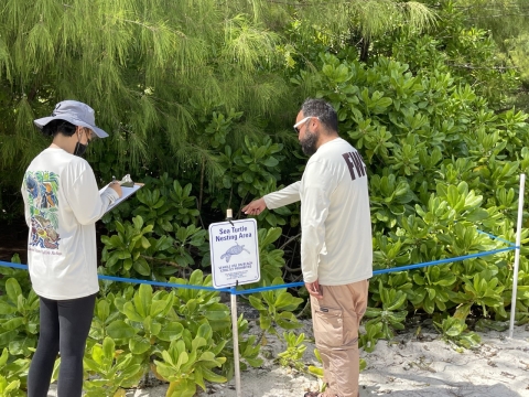 Volunteers from the Guam National Wildlife Refuge section off sea turtle nesting areas along the beach