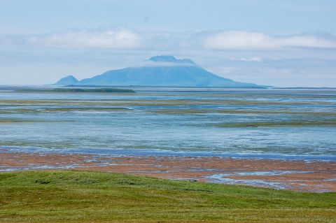 view over tidal wetlands with a mountain in the distance