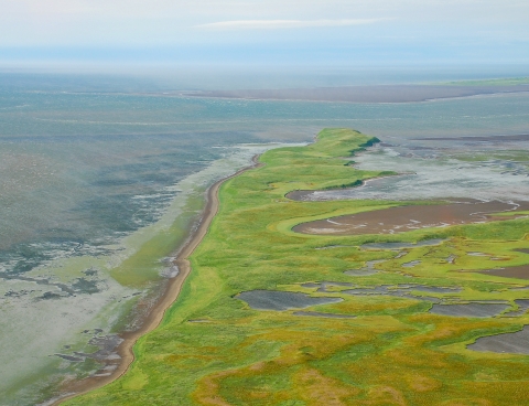 aerial view of green tundra and tidal coastline