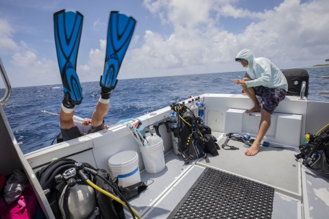 Diver going over side of boat into water