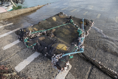 Man made device to attract fish