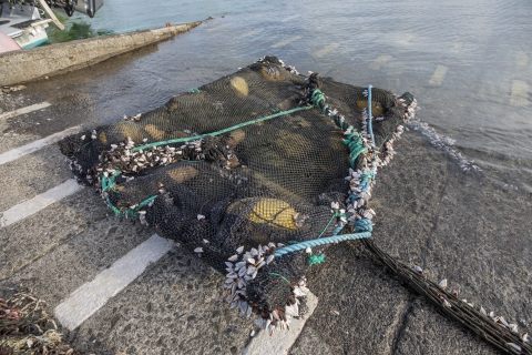 Artificial structure used to lure large schools of fish