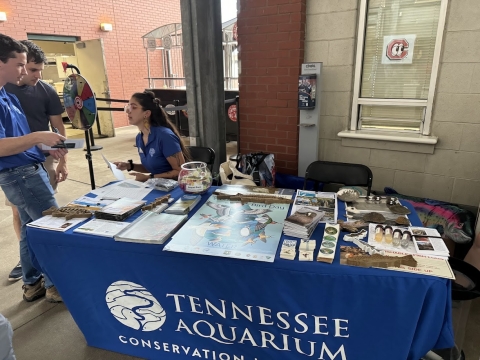 A picture of a table that contains posters, stickers, and brochures from the USFWS and the Tennessee Aquarium. The table also contains wooden fish, fish eggs, and freshwater mussel shells.